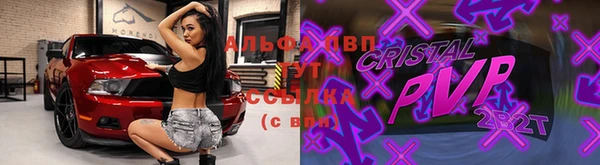 тгк Богородск