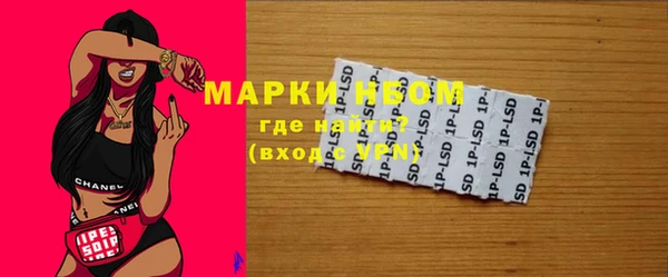 PSILOCYBIN Богородицк