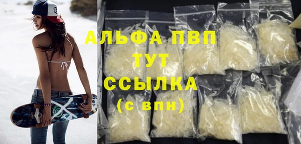 PSILOCYBIN Богородицк